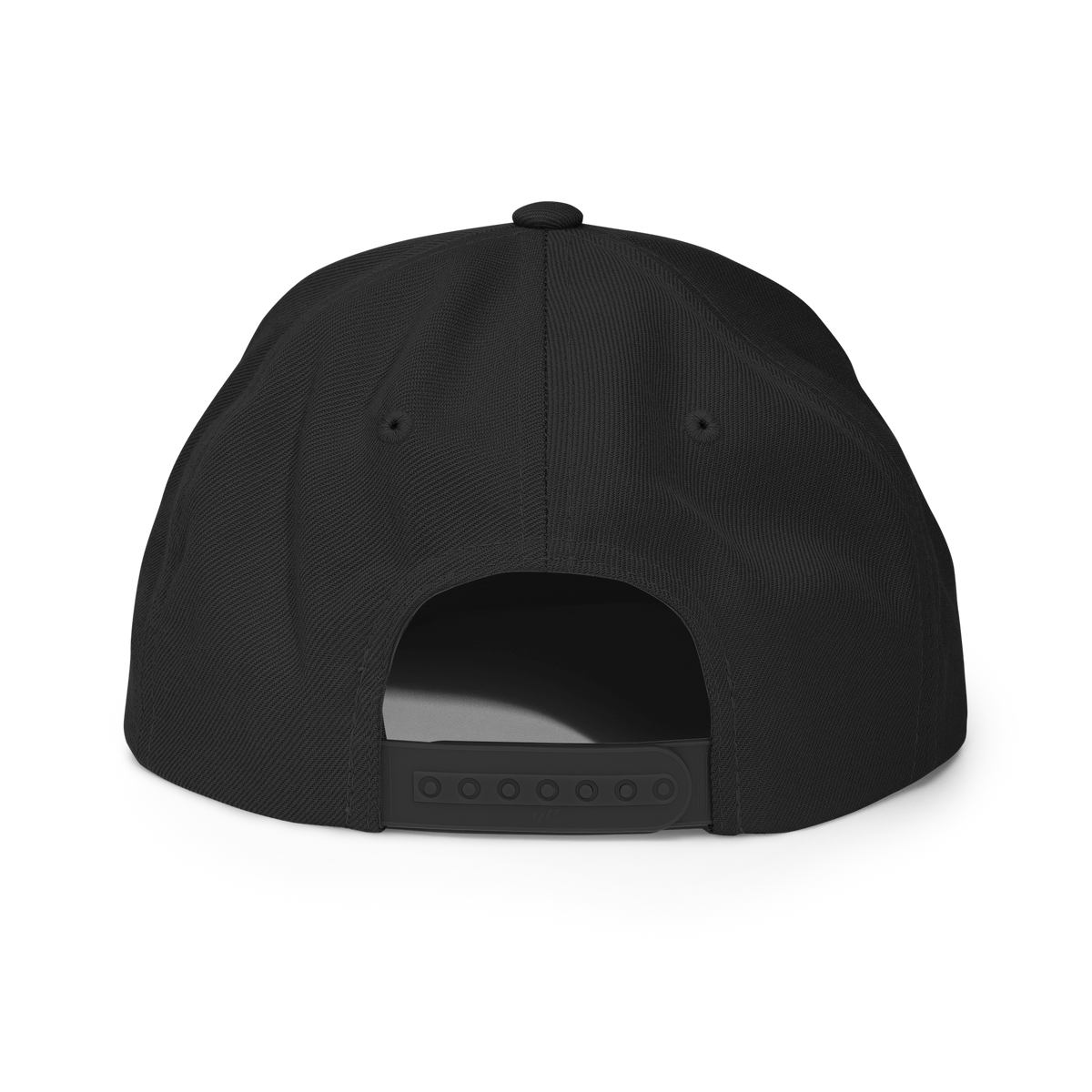 FlockCamerasAre.gay Snapback Hat