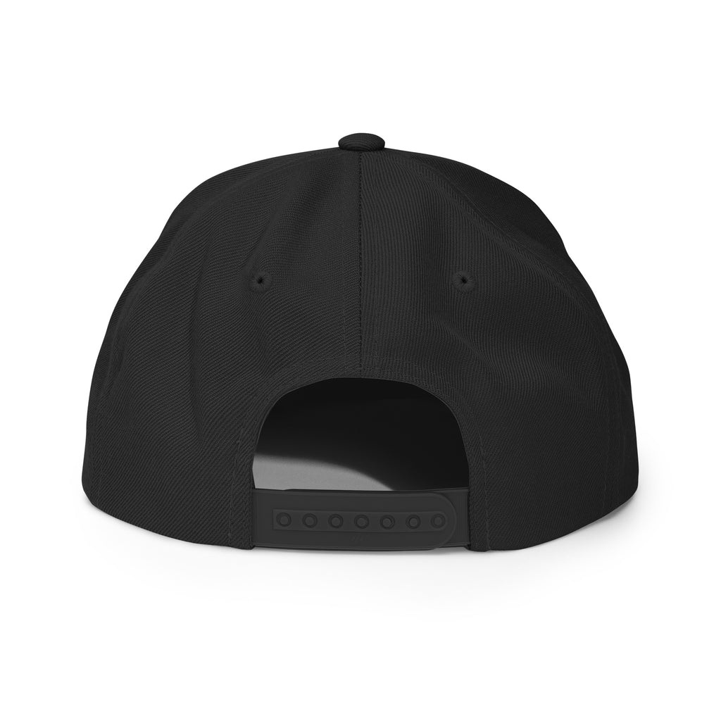 FlockCamerasAre.gay Snapback Hat