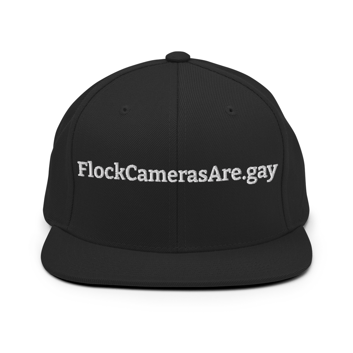 FlockCamerasAre.gay Snapback Hat