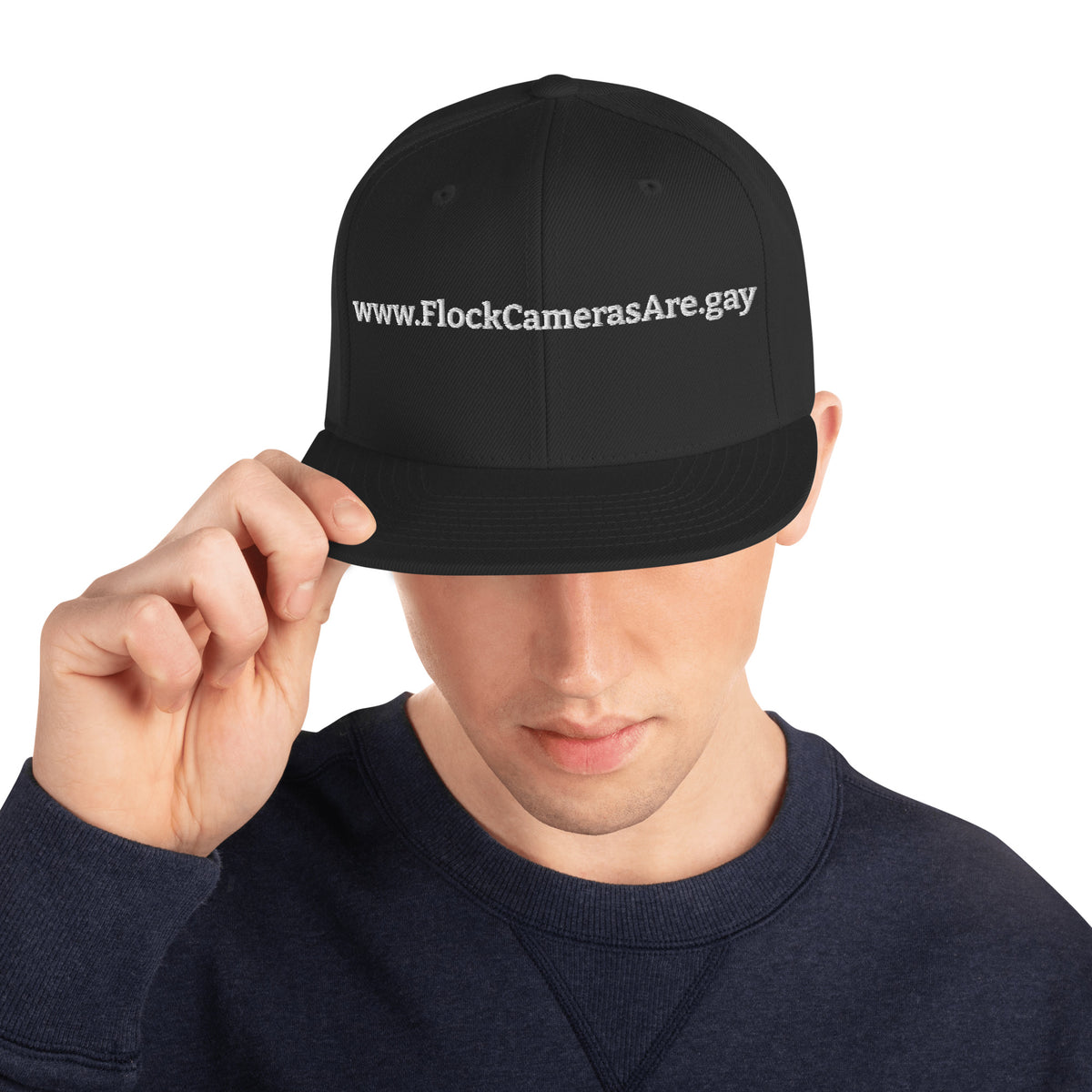FlockCamerasAre.gay Snapback Hat