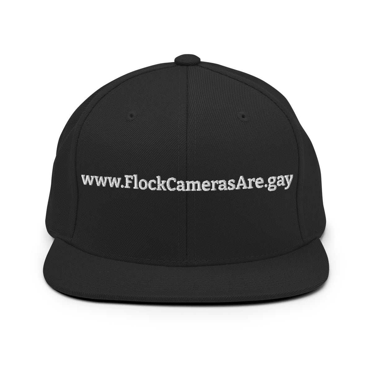 FlockCamerasAre.gay Snapback Hat