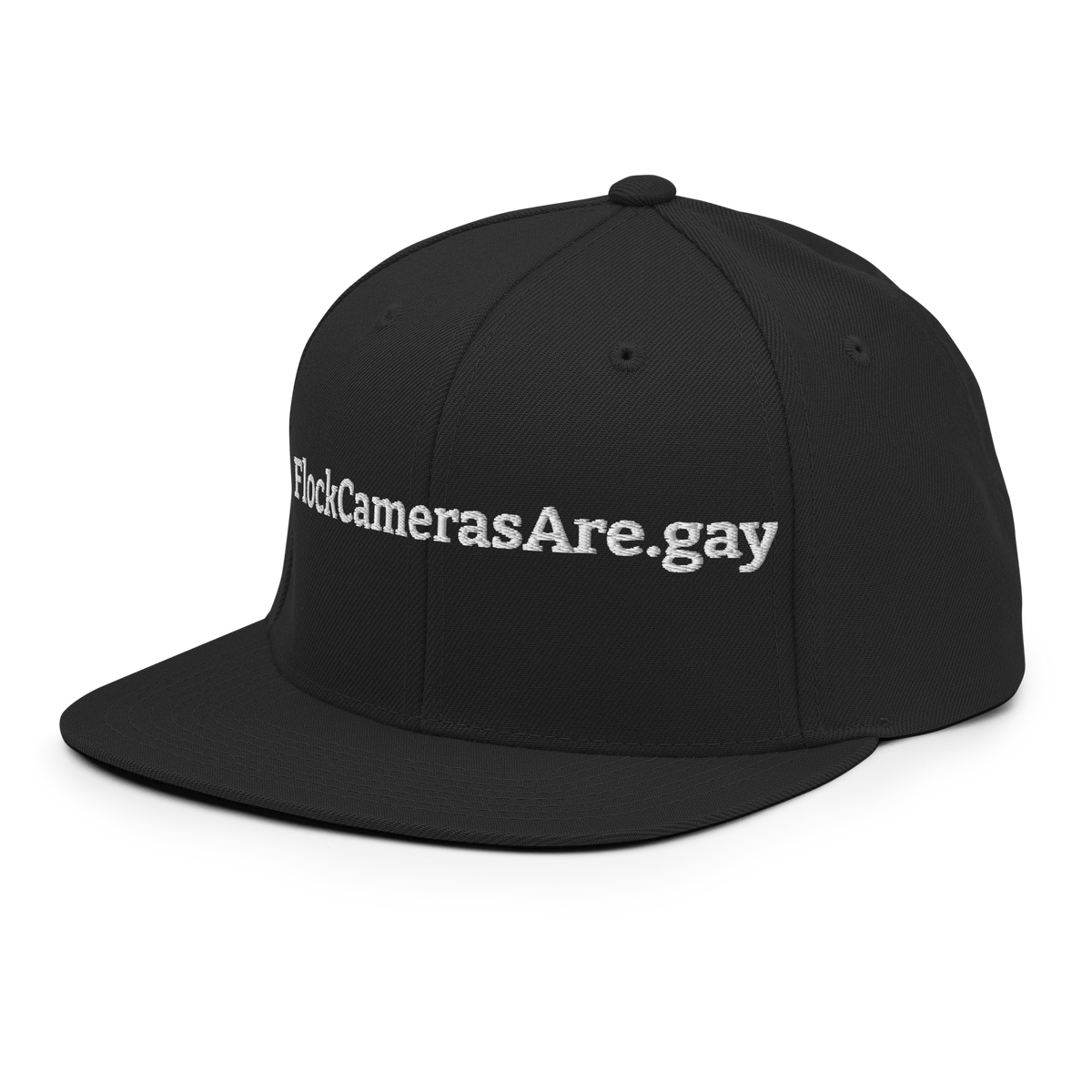 FlockCamerasAre.gay Snapback Hat