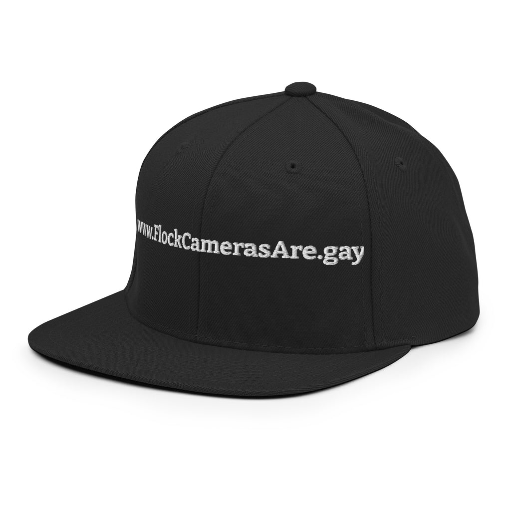 FlockCamerasAre.gay Snapback Hat