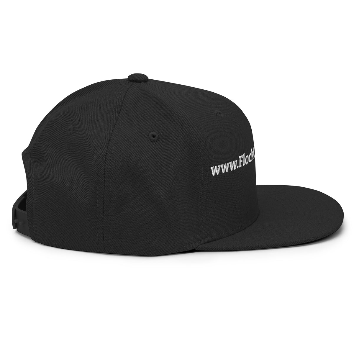 FlockCamerasAre.gay Snapback Hat