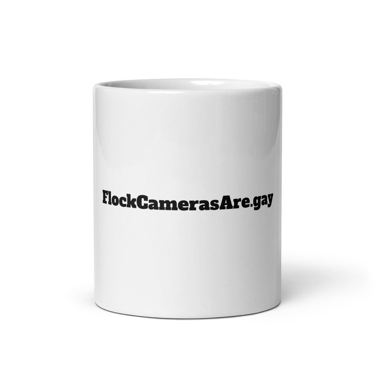 FlockCamerasAre.gay Mug