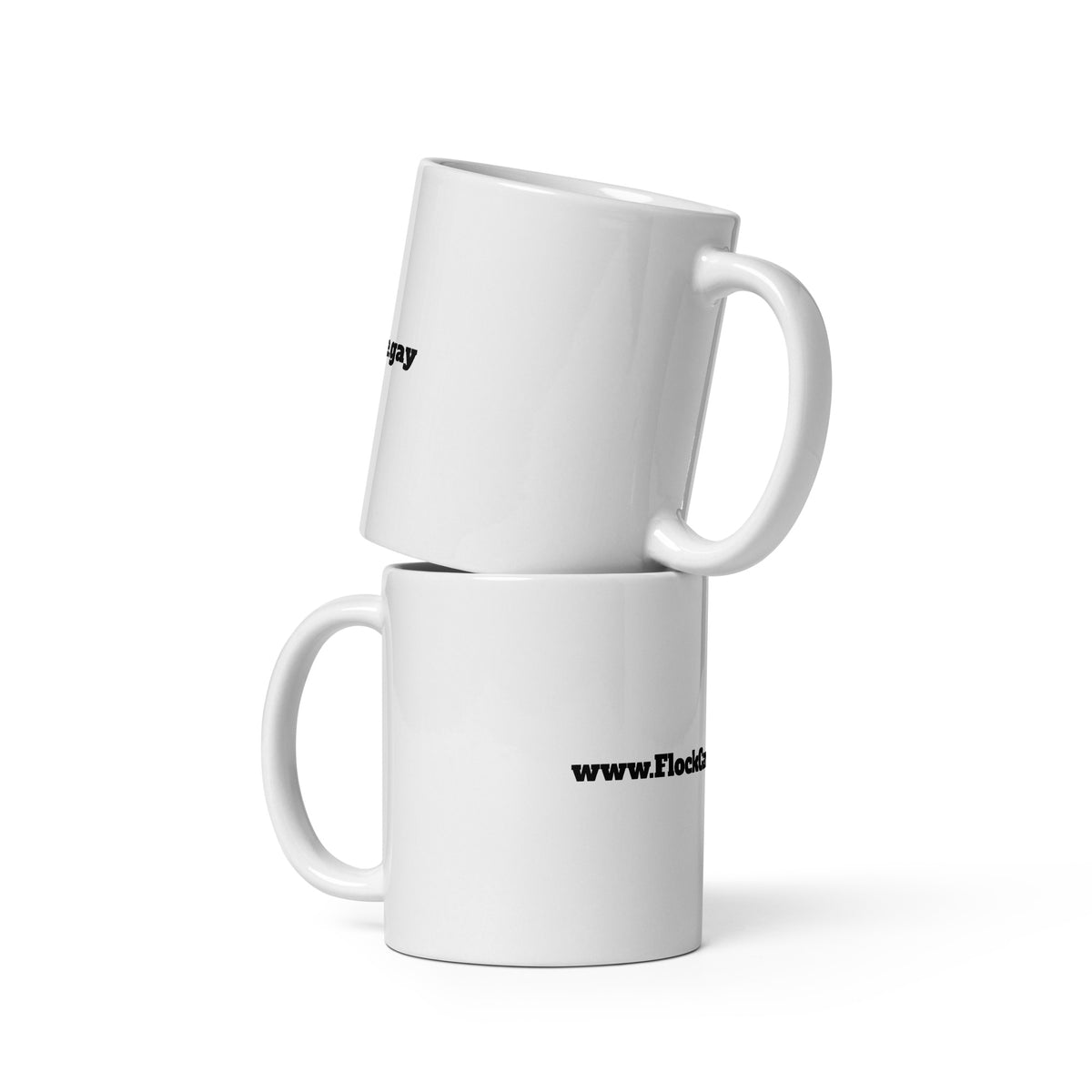 FlockCamerasAre.gay Mug